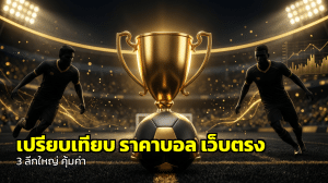 เปรียบเทียบ ราคาบอล เว็บตรง